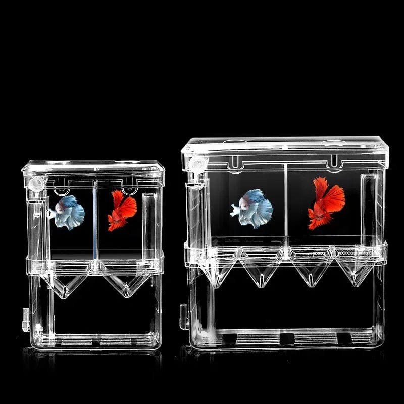 S/L/XL Aquarium-Acryl-Doppel-Deck-Klar-Fisch-Zucht-Isolationsbox Aquarium-Züchter Fisch-Brutkasten-Trenner Garnelen Fisch-Verletzt | Karnz