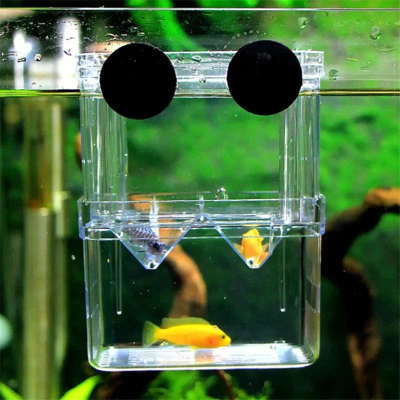 S/L/XL Aquarium-Acryl-Doppel-Deck-Klar-Fisch-Zucht-Isolationsbox Aquarium-Züchter Fisch-Brutkasten-Trenner Garnelen Fisch-Verletzt | Karnz