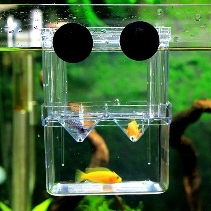 S/L/XL Aquarium-Acryl-Doppel-Deck-Klar-Fisch-Zucht-Isolationsbox Aquarium-Züchter Fisch-Brutkasten-Trenner Garnelen Fisch-Verletzt | Karnz