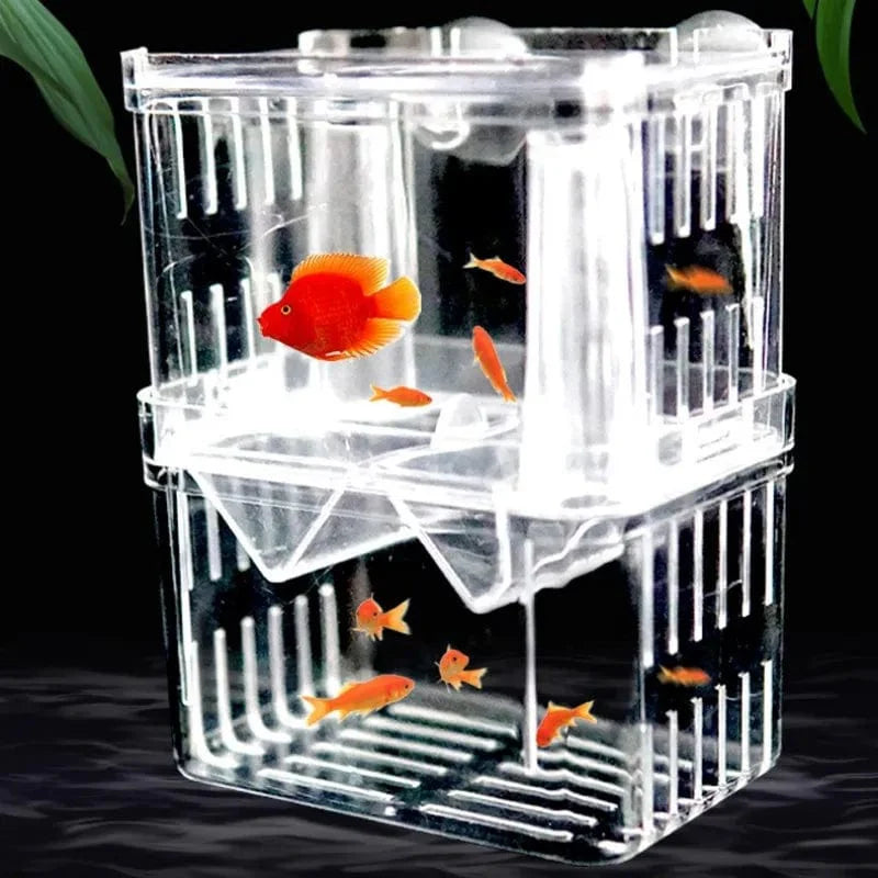 S/L/XL Aquarium-Acryl-Doppel-Deck-Klar-Fisch-Zucht-Isolationsbox Aquarium-Züchter Fisch-Brutkasten-Trenner Garnelen Fisch-Verletzt | Karnz