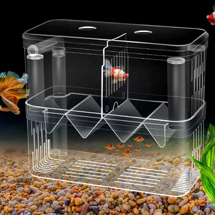 S/L/XL Aquarium-Acryl-Doppel-Deck-Klar-Fisch-Zucht-Isolationsbox Aquarium-Züchter Fisch-Brutkasten-Trenner Garnelen Fisch-Verletzt | Karnz