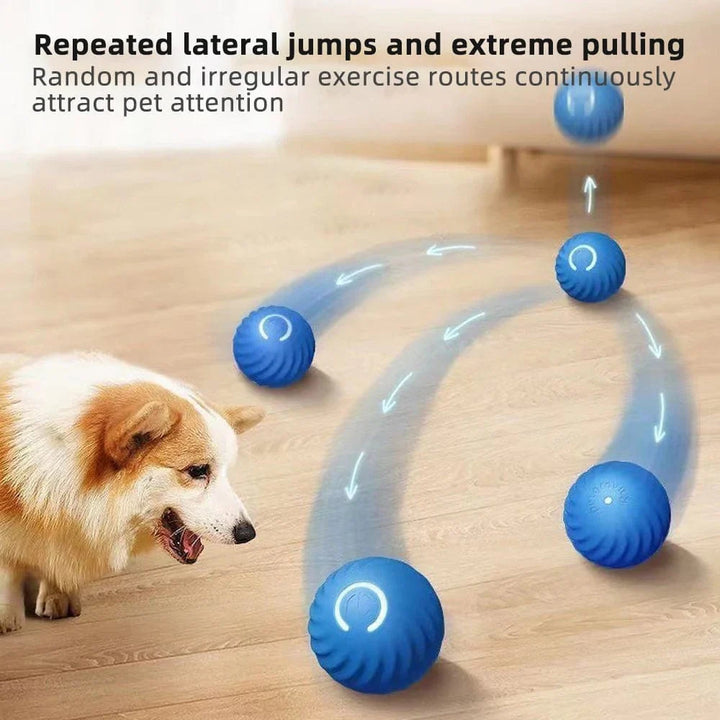 Smart Dog Toy Ball Elektronisches Interaktives Haustier Spielzeug Bewegende Kugel USB Automatisch Bewegend Springend für Welpen Geburtstagsgeschenk Katze Produkt | Karnz