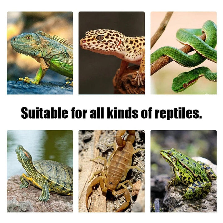 Terrarium Reptilien Eidechse Heizmatte Klettern Haustier Heizung Warme Pads Intelligente Verstellbare Temperaturregelung Matten 110v/220v | Karnz