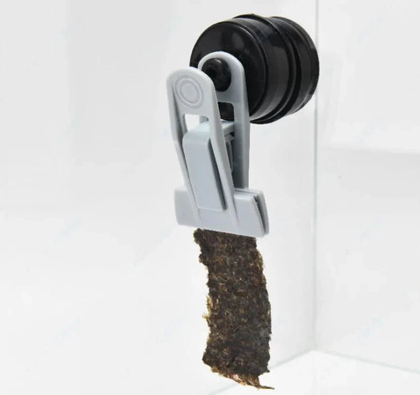 VastOcean Veggie-Mag Futterclip Aquarium Fischtank Starker Magnet Algen Gemüse Clip | Karnz