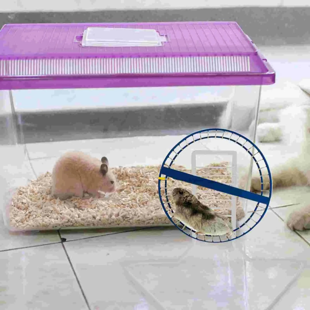 Metallhalterungen Laufrad Unterstützung Hamster Syrisch Übung Weiß Eisen Kleintier Ständer | Karnz