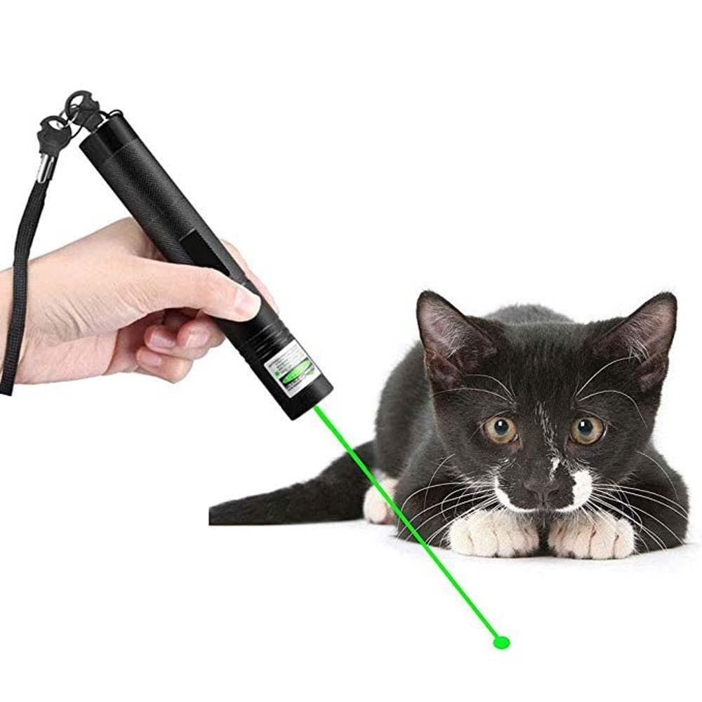 Leistungsstarker Laserpointer – PrecisionBeam