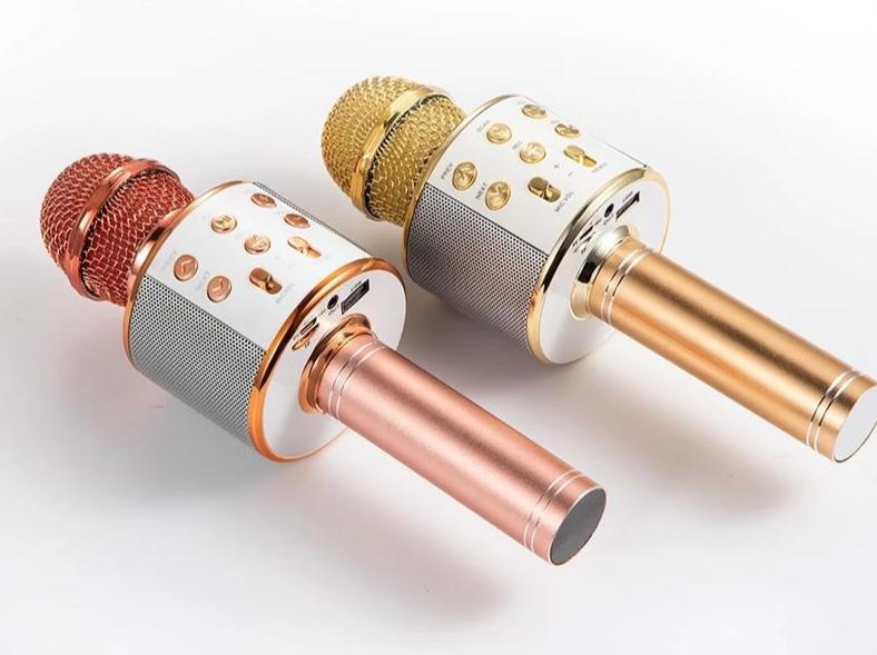 Nolae - Bluetooth Karaoke Mikrofon | Karnz