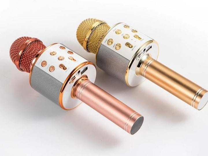 Nolae - Bluetooth Karaoke Mikrofon | Karnz
