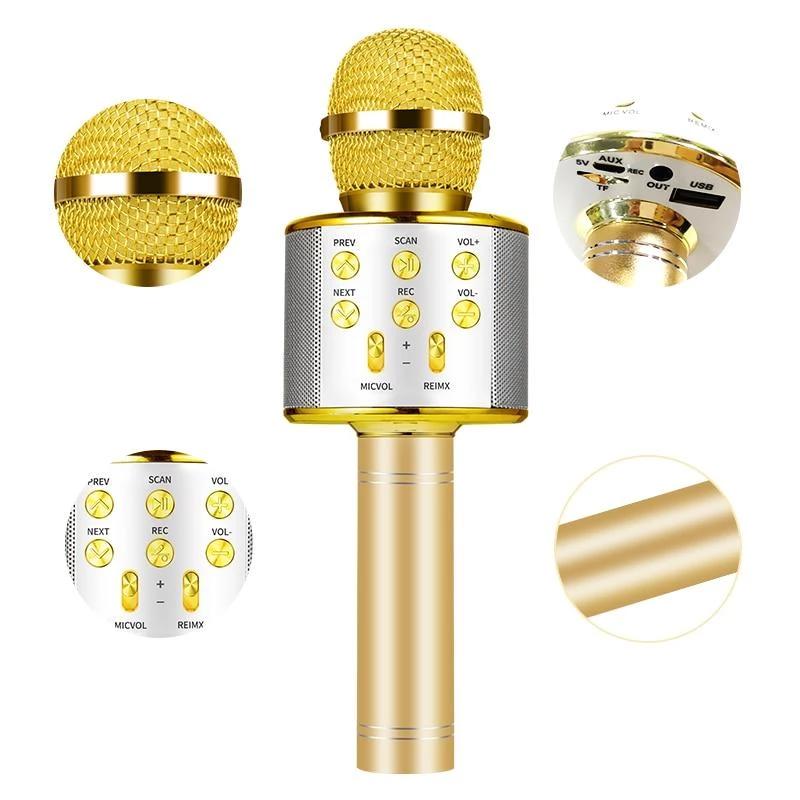 Nolae - Bluetooth Karaoke Mikrofon | Karnz