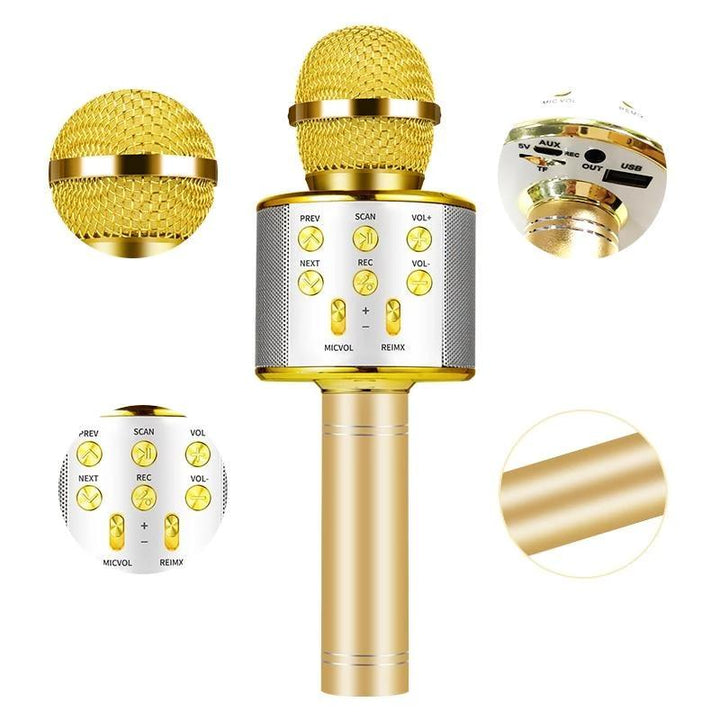 Nolae - Bluetooth Karaoke Mikrofon | Karnz