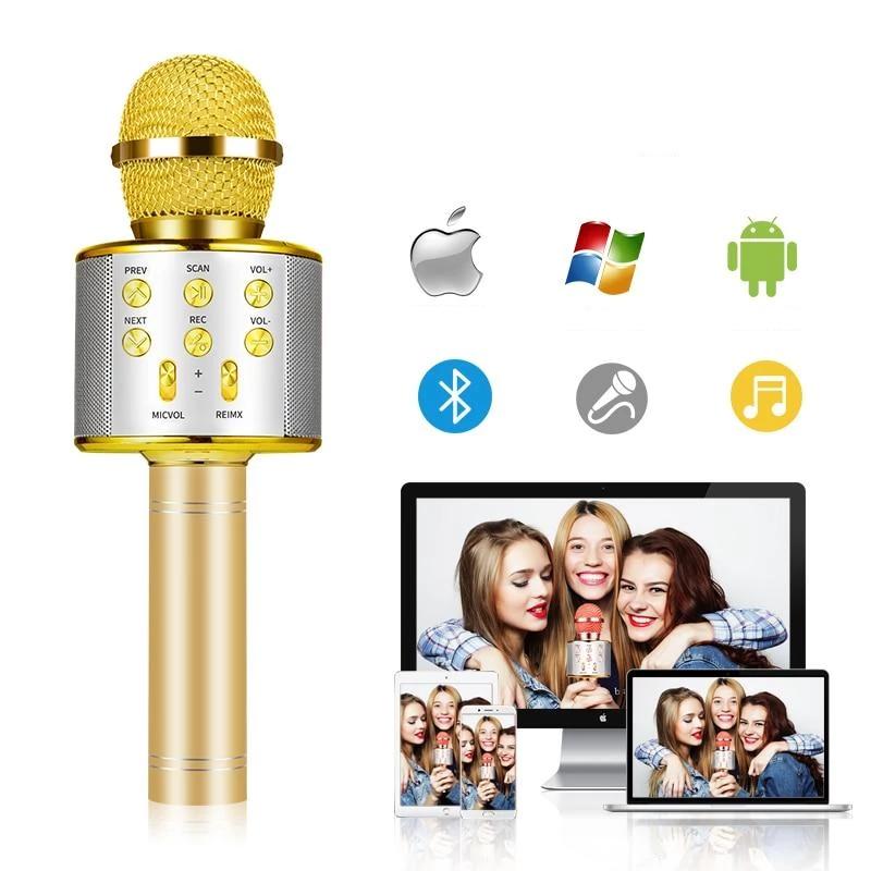 Nolae - Bluetooth Karaoke Mikrofon | Karnz