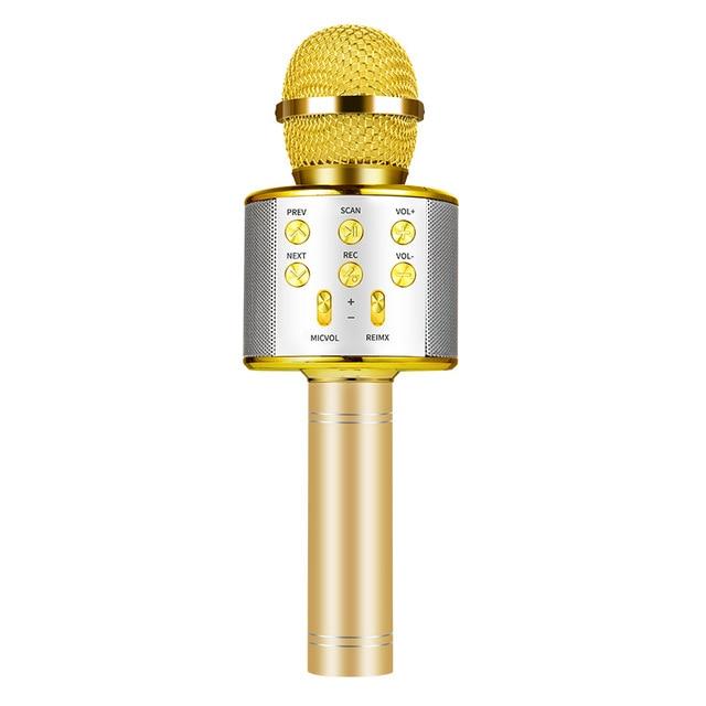 Nolae - Bluetooth Karaoke Mikrofon | Karnz