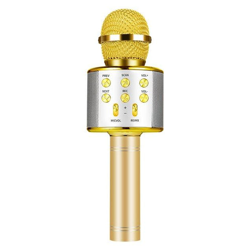 Nolae - Bluetooth Karaoke Mikrofon | Karnz