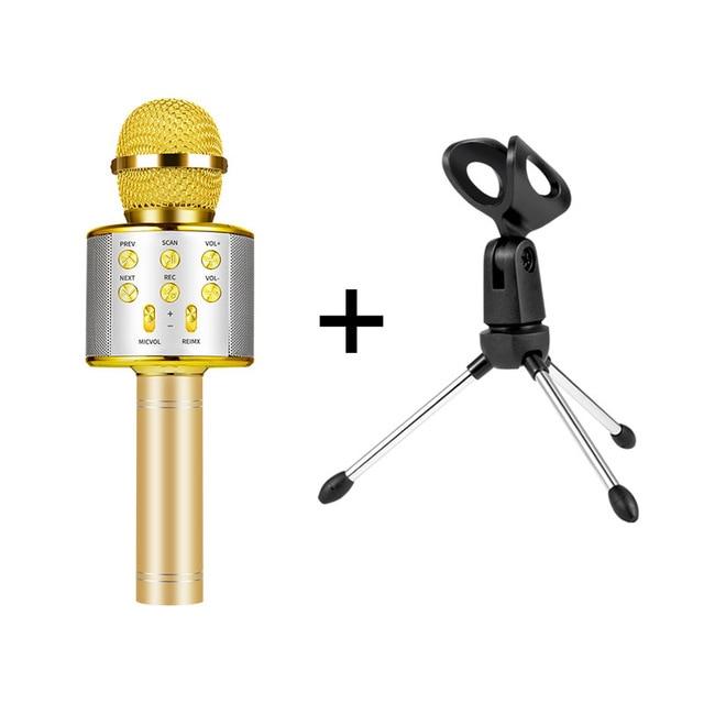Nolae - Bluetooth Karaoke Mikrofon | Karnz