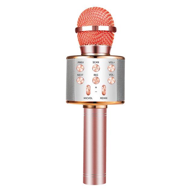 Nolae - Bluetooth Karaoke Mikrofon | Karnz