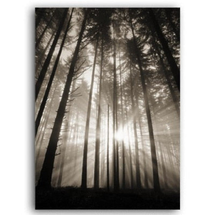 Wald Sonnenstrahlen Szene - Leinwand Wandkunst Gemälde