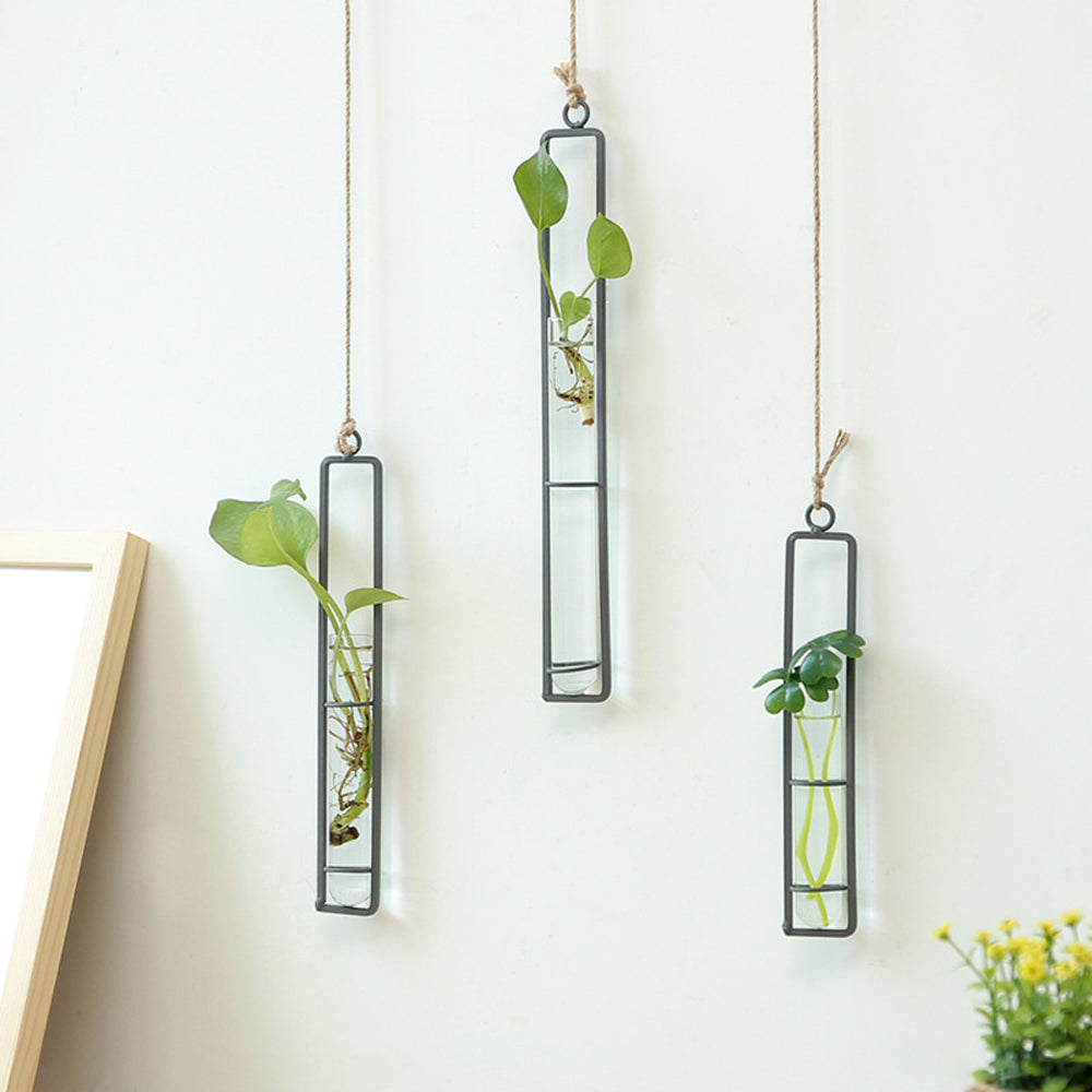 Eisen transparente Wand hängender Karnzumentopf | Karnz