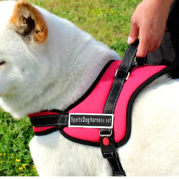 Hundegeschirr zum Spazierengehen | Karnz