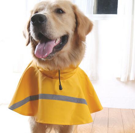 Walkabee - Hunde-Regenmantel | Karnz