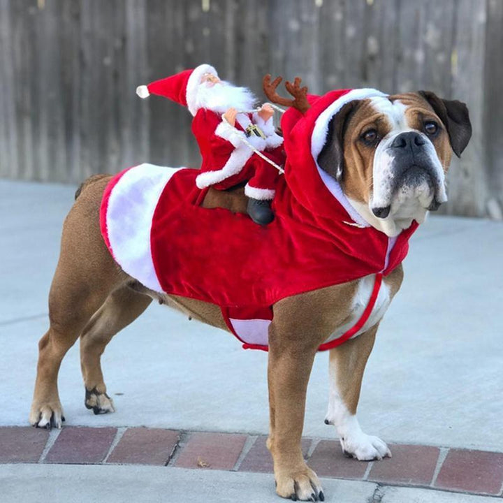 Weihnachts-Hundekostüm | Karnz