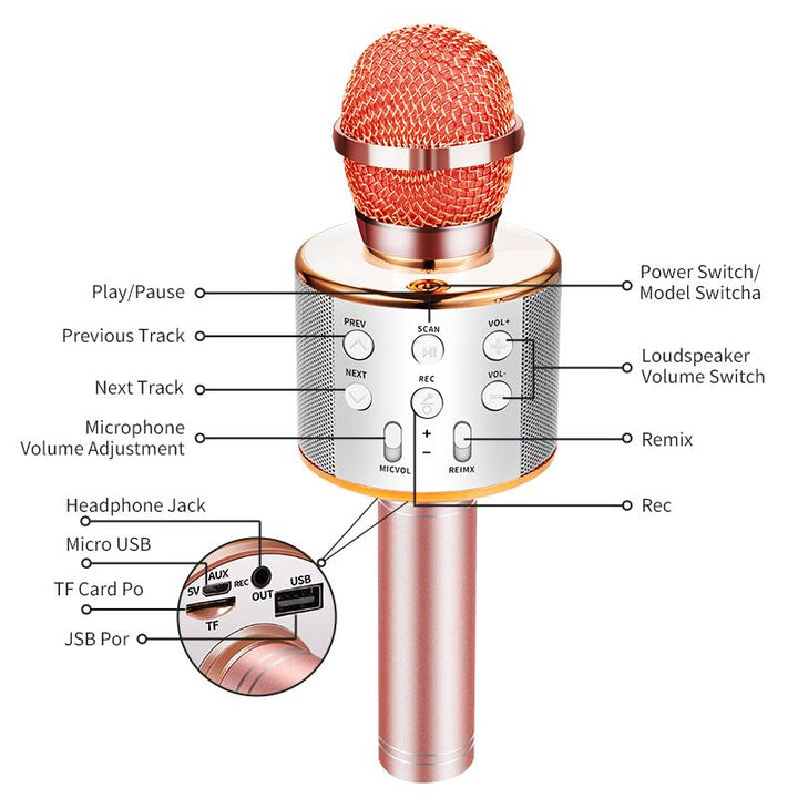 Nolae - Bluetooth Karaoke Mikrofon | Karnz
