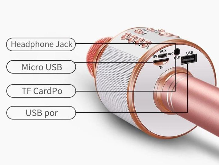 Nolae - Bluetooth Karaoke Mikrofon | Karnz