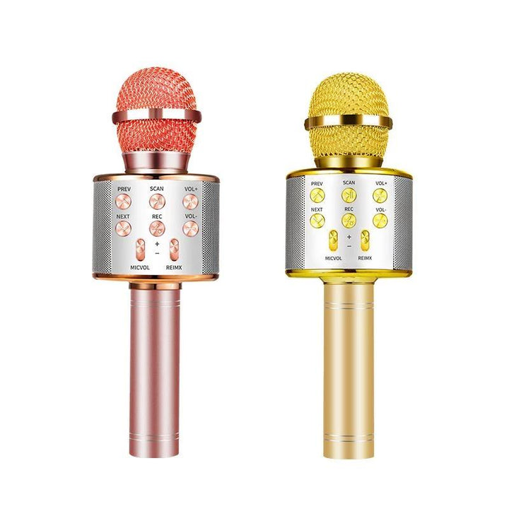 Nolae - Bluetooth Karaoke Mikrofon | Karnz