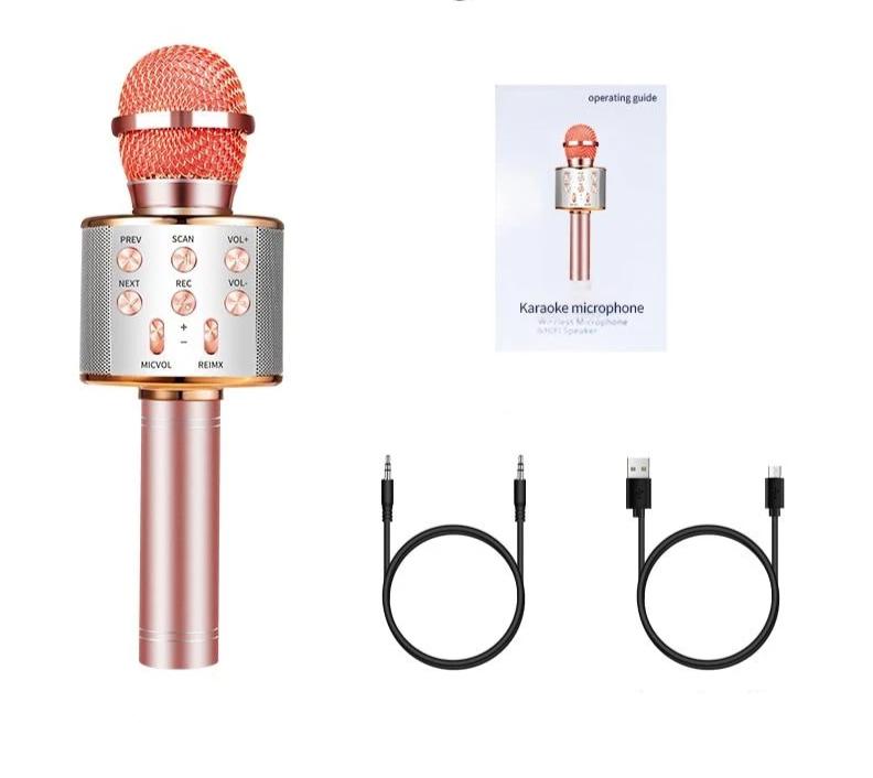 Nolae - Bluetooth Karaoke Mikrofon | Karnz