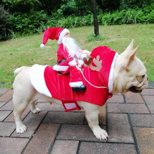 Weihnachts-Hundekostüm | Karnz