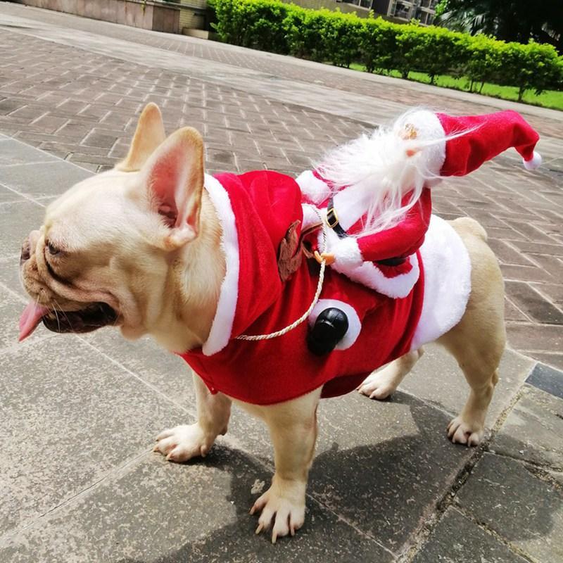 Weihnachts-Hundekostüm | Karnz
