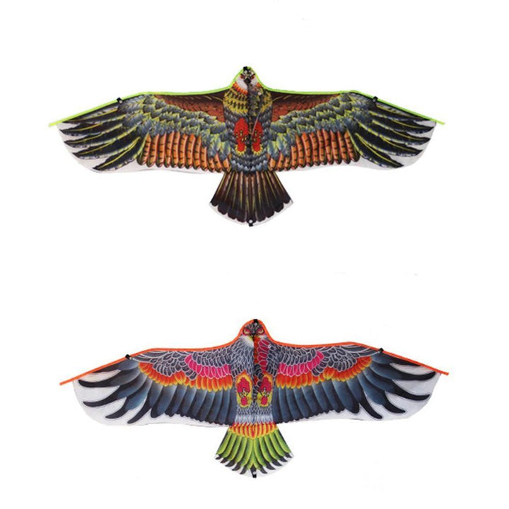 EagleEye - Extra Großes Adler-Drachen | Karnz