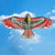 EagleEye - Extra Großes Adler-Drachen | Karnz