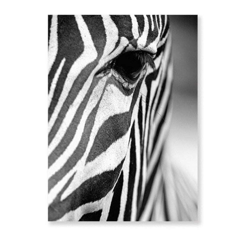 Afrikanischer Zebra - Leinwand Wandkunst Gemälde