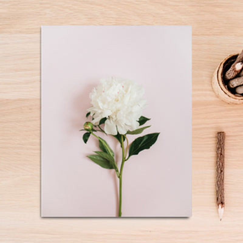 Modernes Wandbild mit rosa Blumen, grünen Blättern und Schriftzug - Leinwandbild