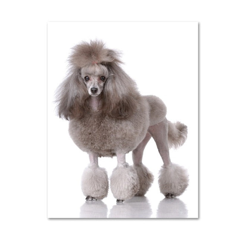 Moderne Hundeposter und -drucke – Leinwandbilder