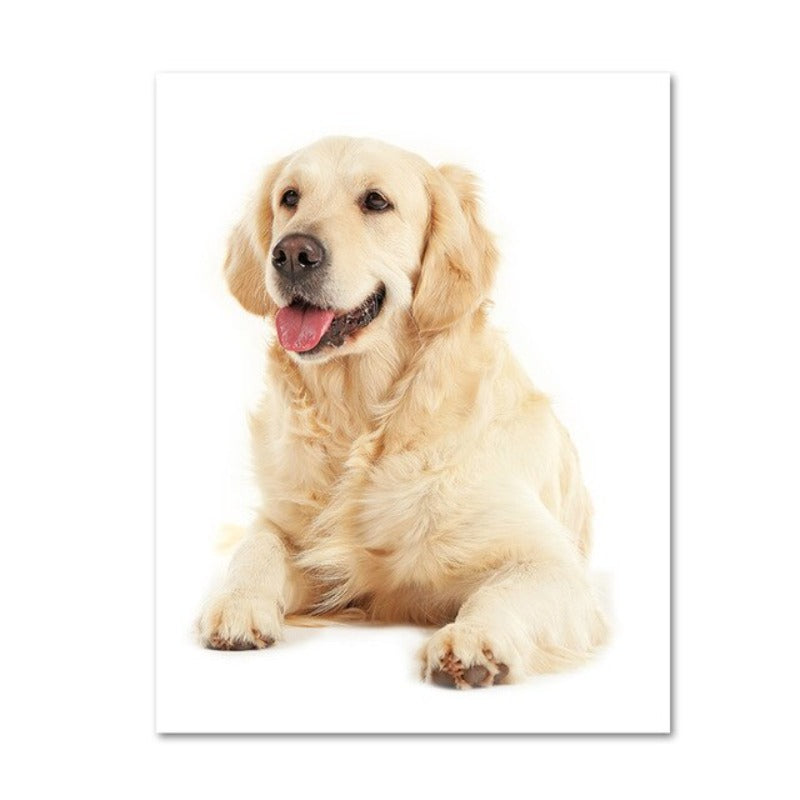 Moderne Hundeposter und -drucke – Leinwandbilder