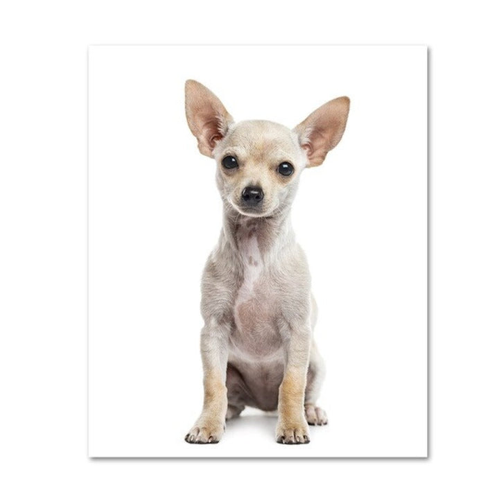 Moderne Hundeposter und -drucke – Leinwandbilder