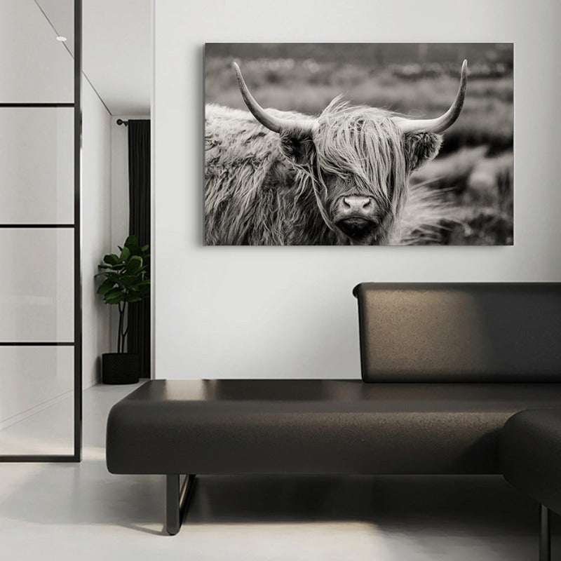 Schottisches Hochlandrind, Kuh, Yak – Tierposter, Wandbild – Leinwandbild