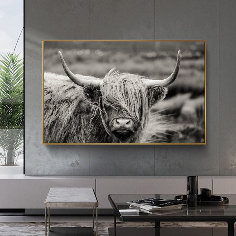 Schottisches Hochlandrind, Kuh, Yak – Tierposter, Wandbild – Leinwandbild