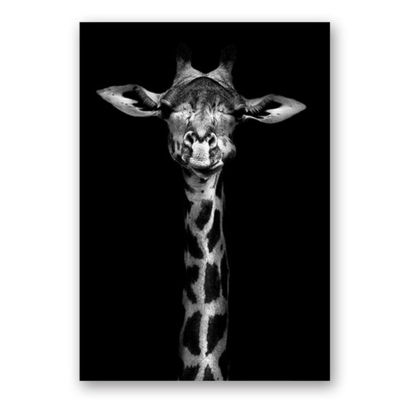 Natur, Tierwelt Afrikas, Wildtiere, Schwarz-Weiß - Leinwandbild