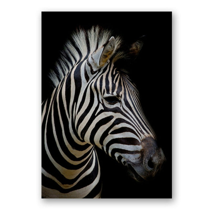 Natur, Tierwelt Afrikas, Wildtiere, Schwarz-Weiß - Leinwandbild