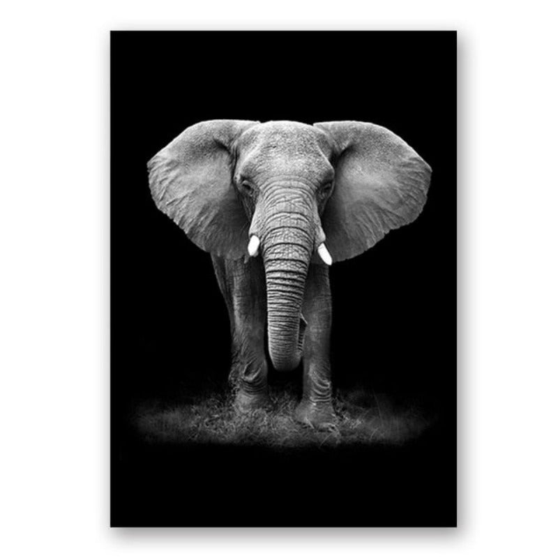 Natur, Tierwelt Afrikas, Wildtiere, Schwarz-Weiß - Leinwandbild