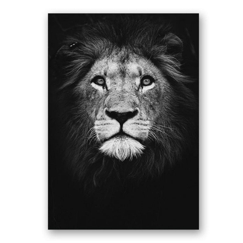 Natur, Tierwelt Afrikas, Wildtiere, Schwarz-Weiß - Leinwandbild