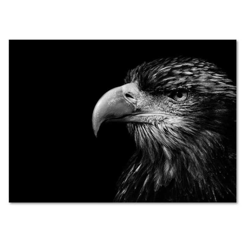 Natur, Tierwelt Afrikas, Wildtiere, Schwarz-Weiß - Leinwandbild