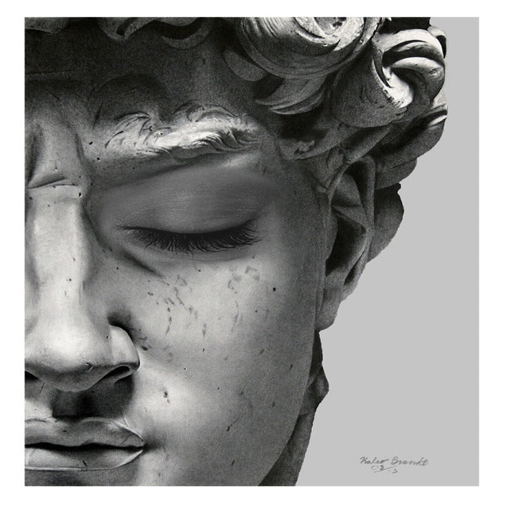 Vintage David Plaster - Leinwandbild