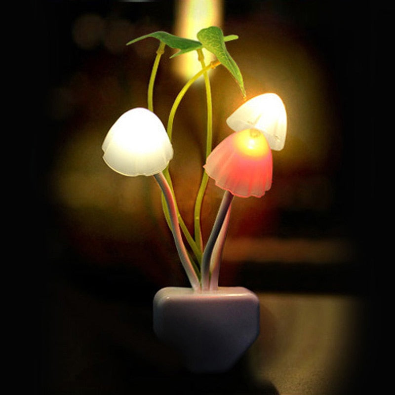 Fager bunte Pilz Nacht Wandlampe | Karnz