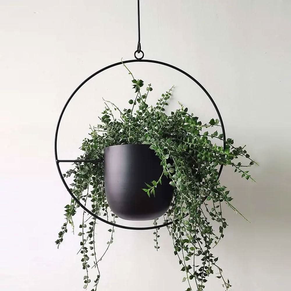 Wandhängender Pflanzenhalter aus Metall – FloraFrame