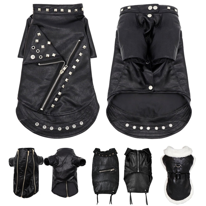 Karnz | Coole niedliche Leder Haustierjacke