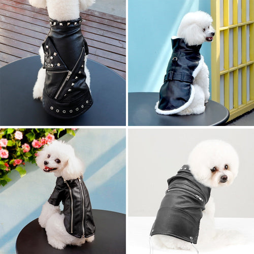 Karnz | Coole niedliche Leder Haustierjacke