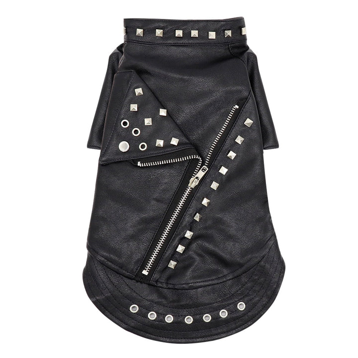 Karnz | Coole niedliche Leder Haustierjacke